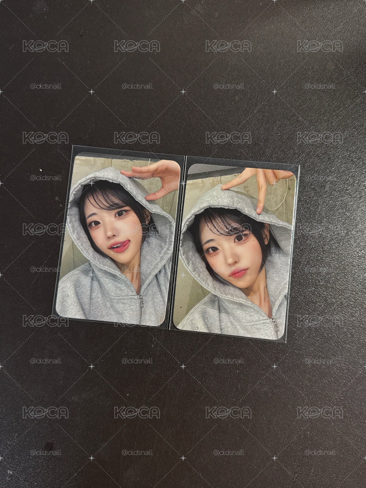 小狗&小貓影子 娜