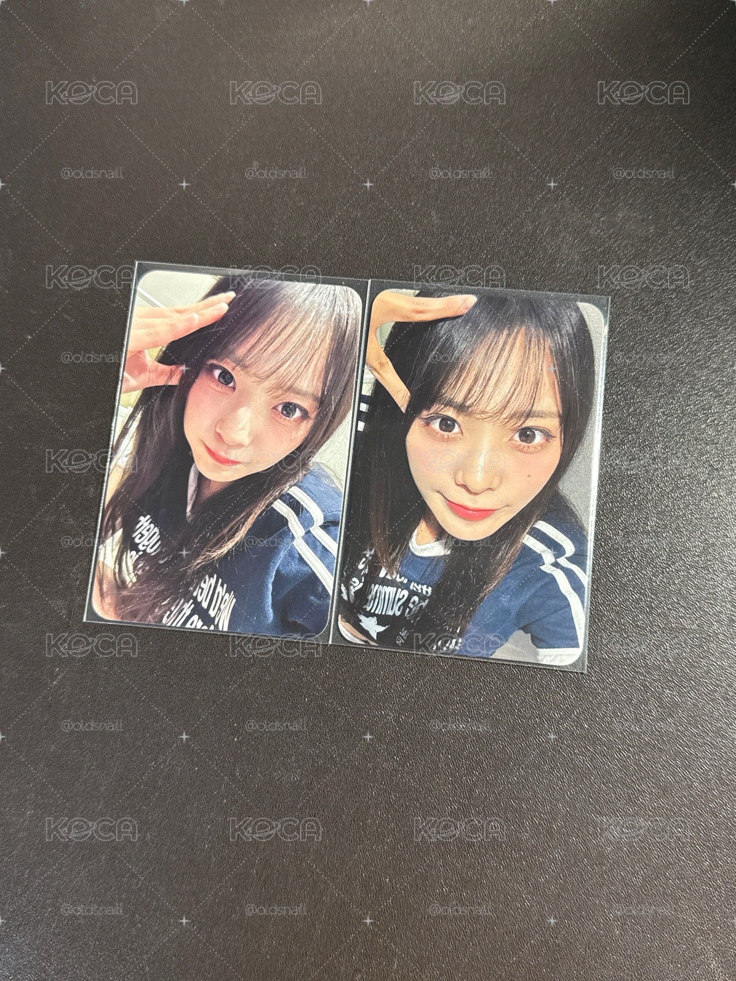 小狗&小貓影子 燕
