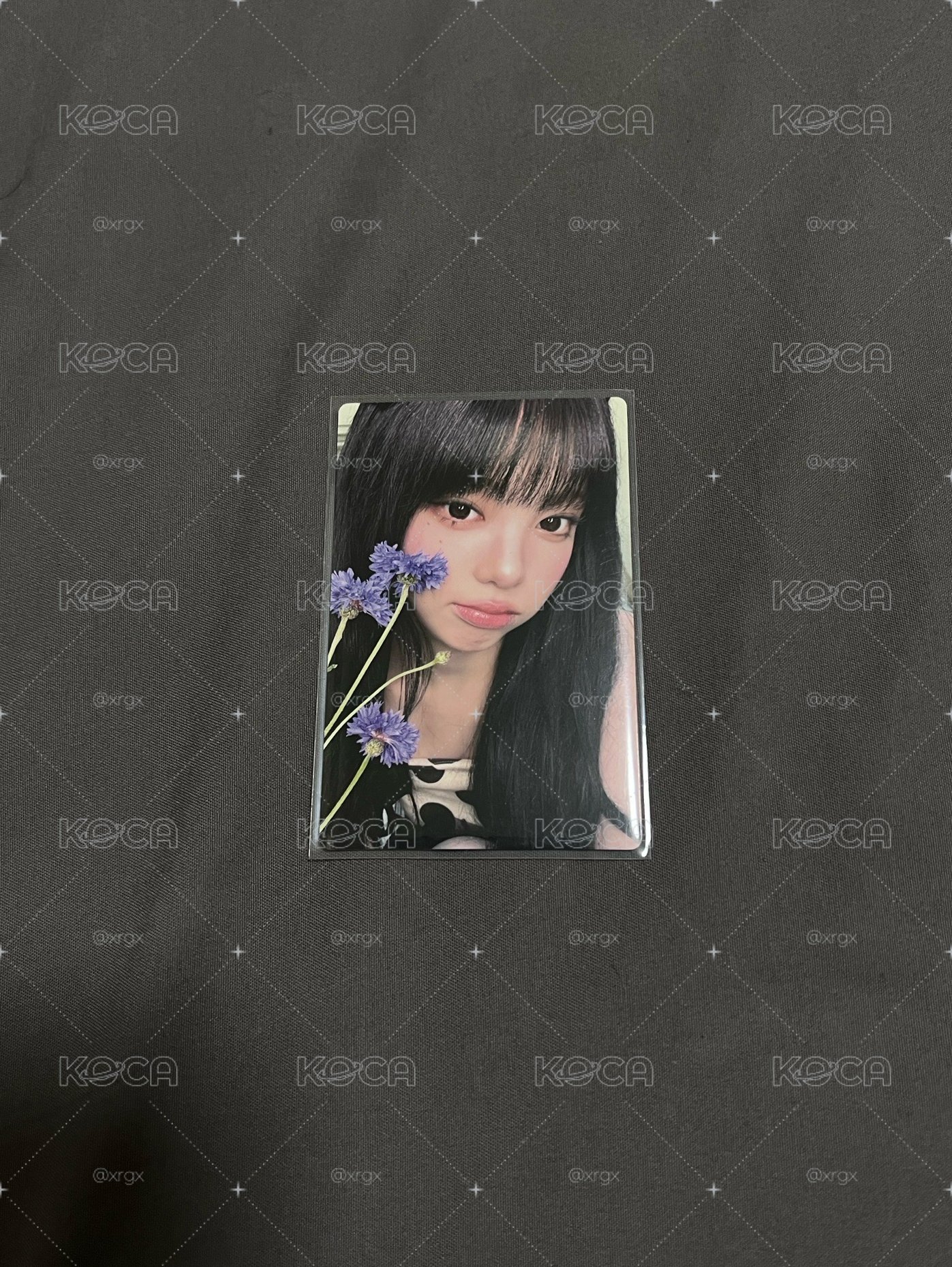 Iconic Heart 初回限定盤D ver. 專卡 Ian