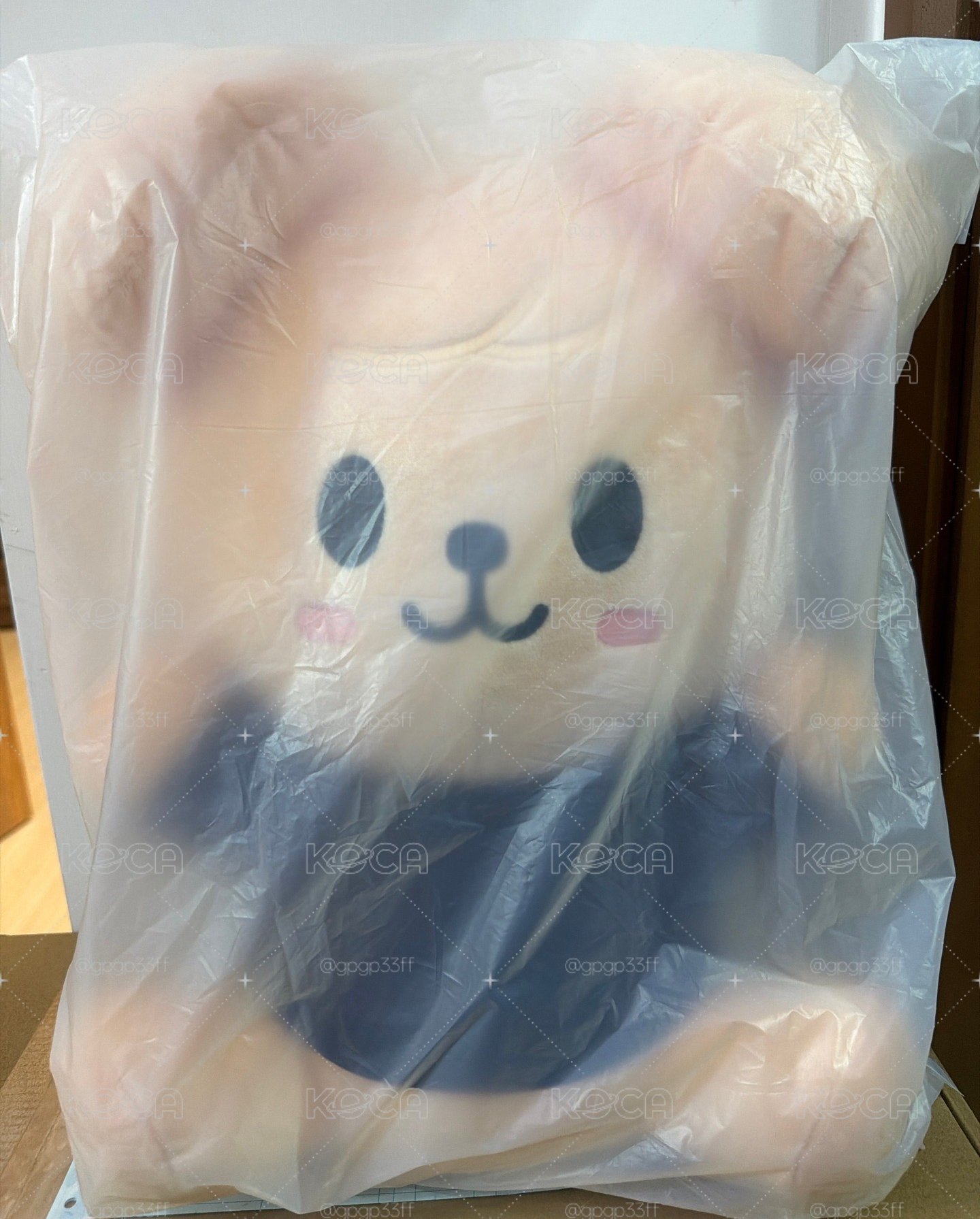 帕皮欸姆大抱娃