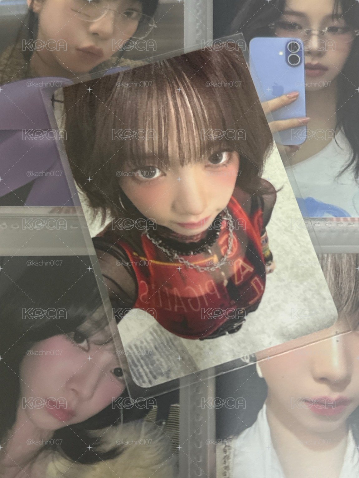 柚子