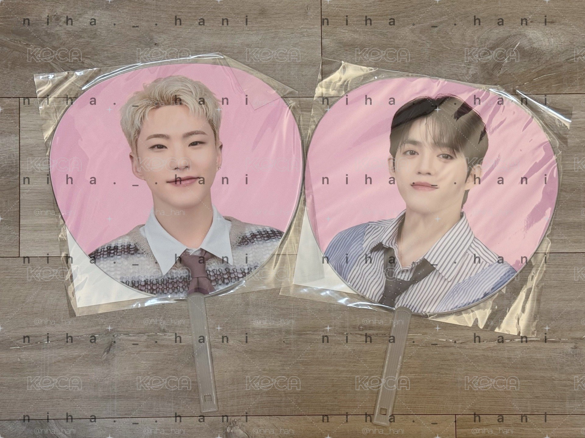 🔺全新現貨 SEVENTEEN holiday 大扇