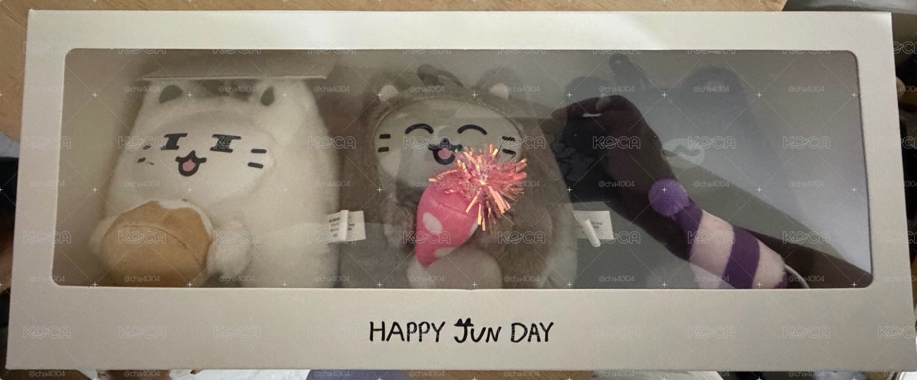全新✅［開立電子發票🧾］JUN生日禮盒