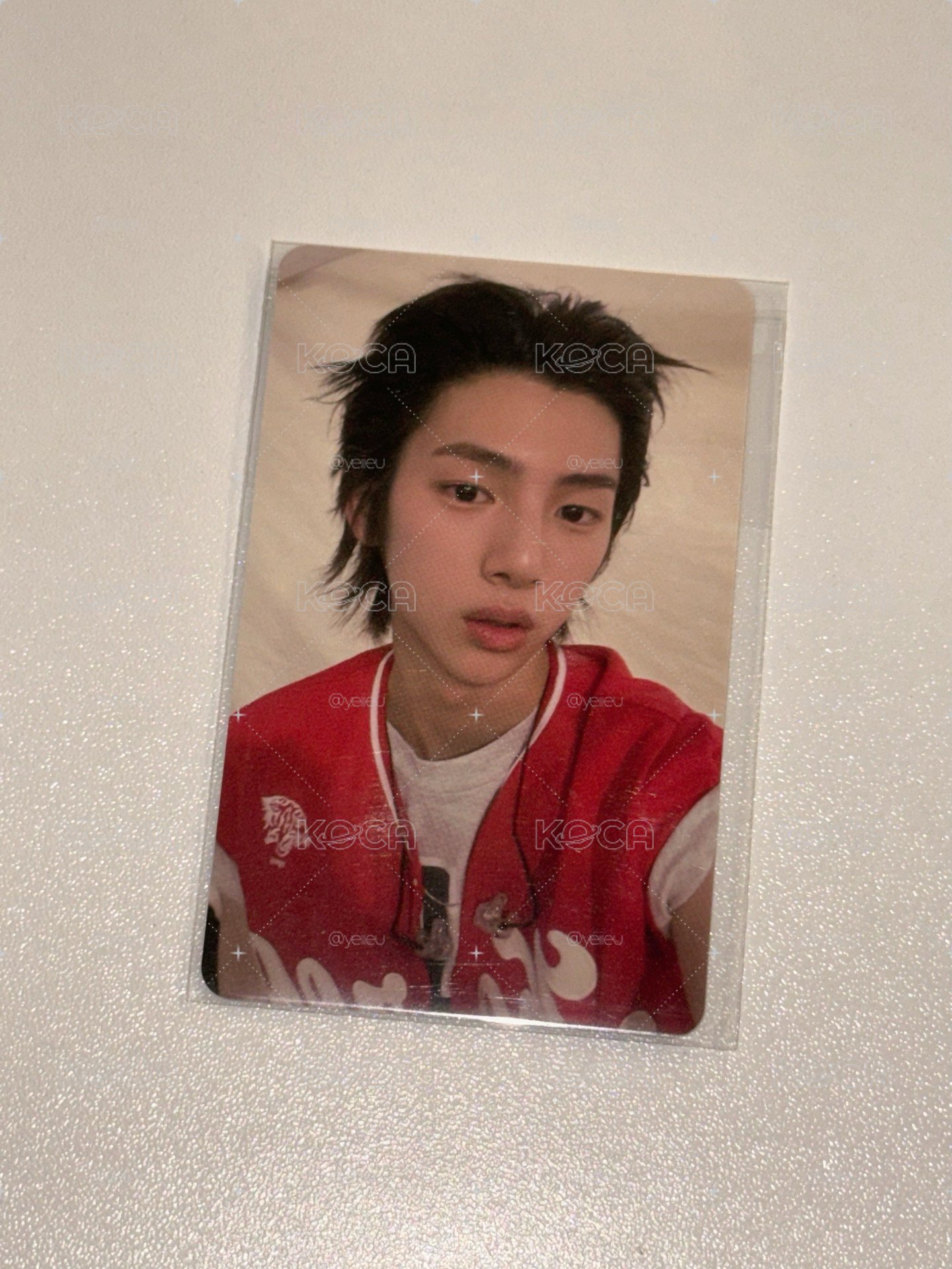 校慶小豬୧꒰*´꒳`*꒱૭✧