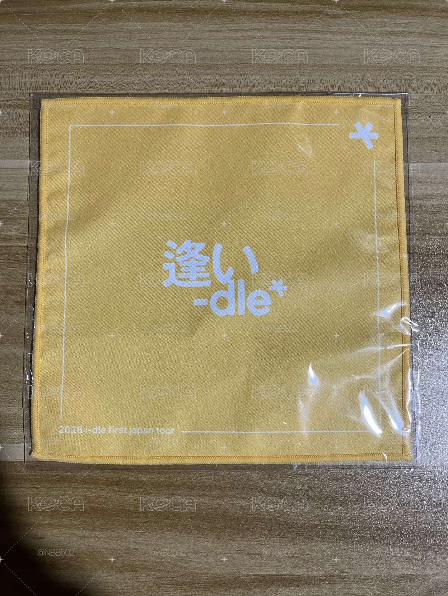 🏆 I-dle 2025 日巡 扭蛋 小方巾