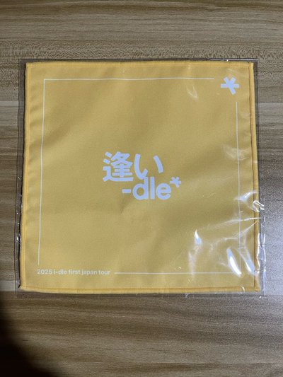 🏆 I-dle 2025 日巡 扭蛋 小方巾