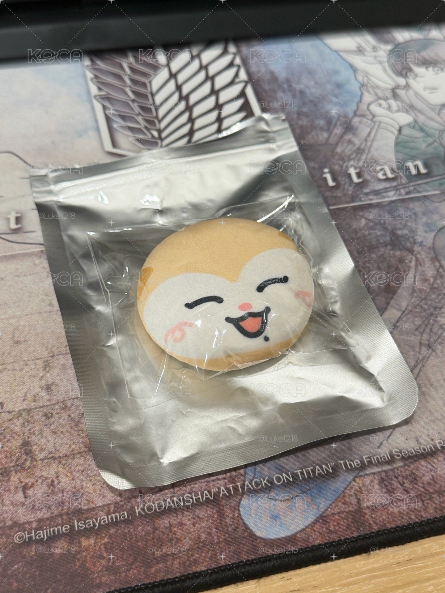 三巡 TWINZY徽章 Ryeowoo