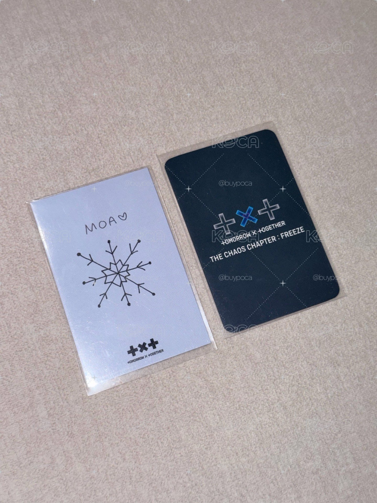 聖誕公放+童軍竣