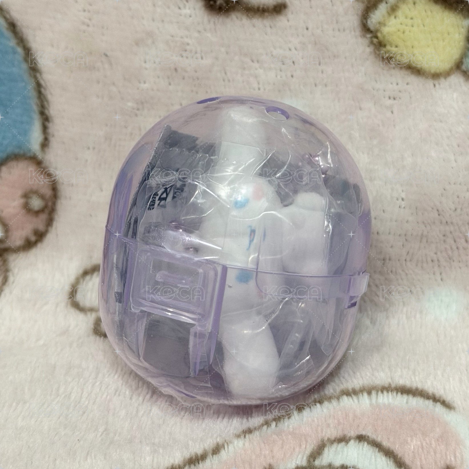 扁扁植絨大耳狗