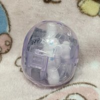 扁扁植絨大耳狗