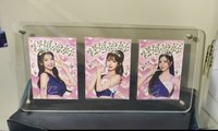 三本柱套組+展架