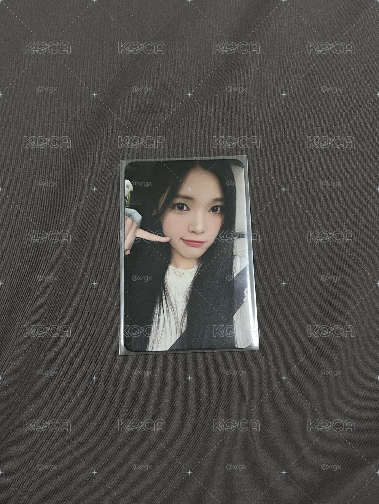 The chase ju簽售 Yuha