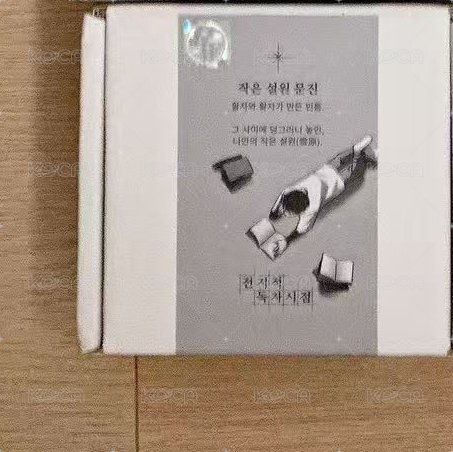 是雪原(獨子單人)