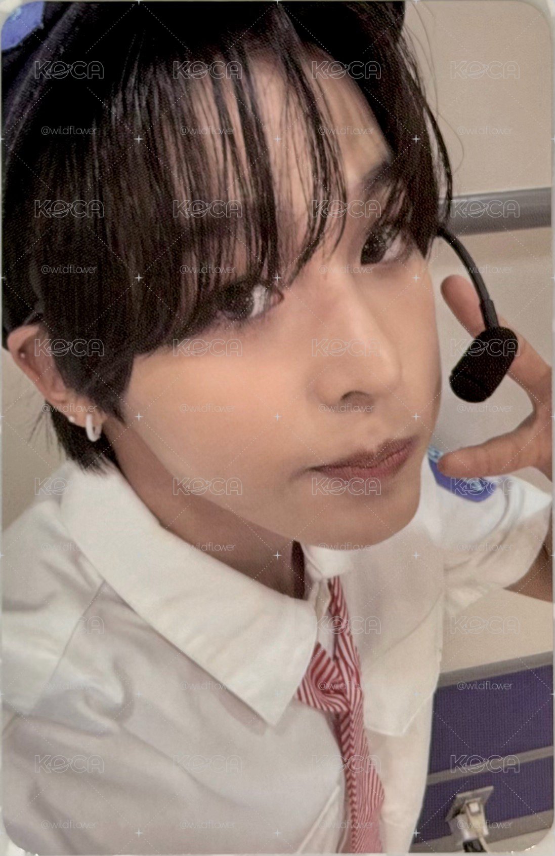 Songbird kkt預售 Riku 客服小陸