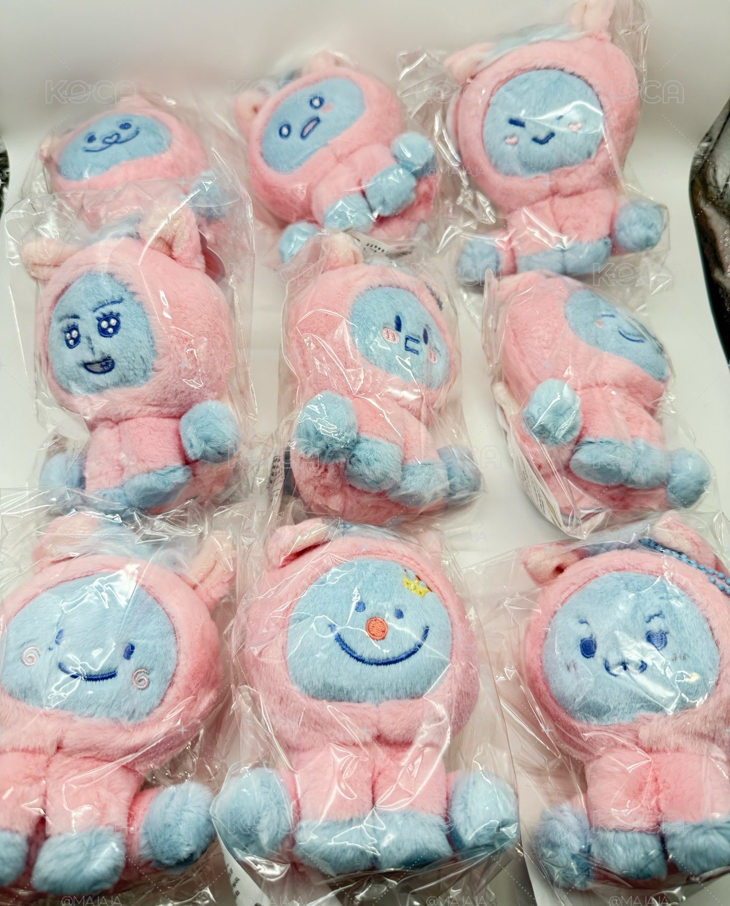現貨全新 SJ 赤兔馬娃 SS10 安可場 全員