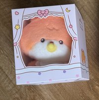 坐娃