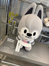 무야