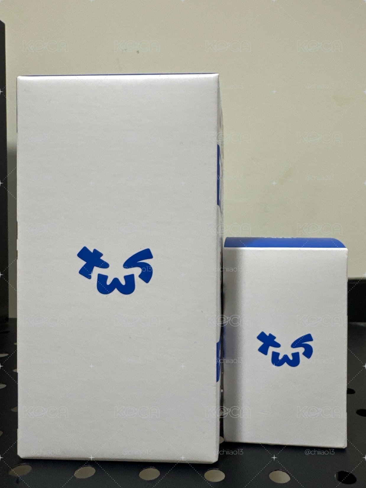 TWS手燈 全新未拆現貨