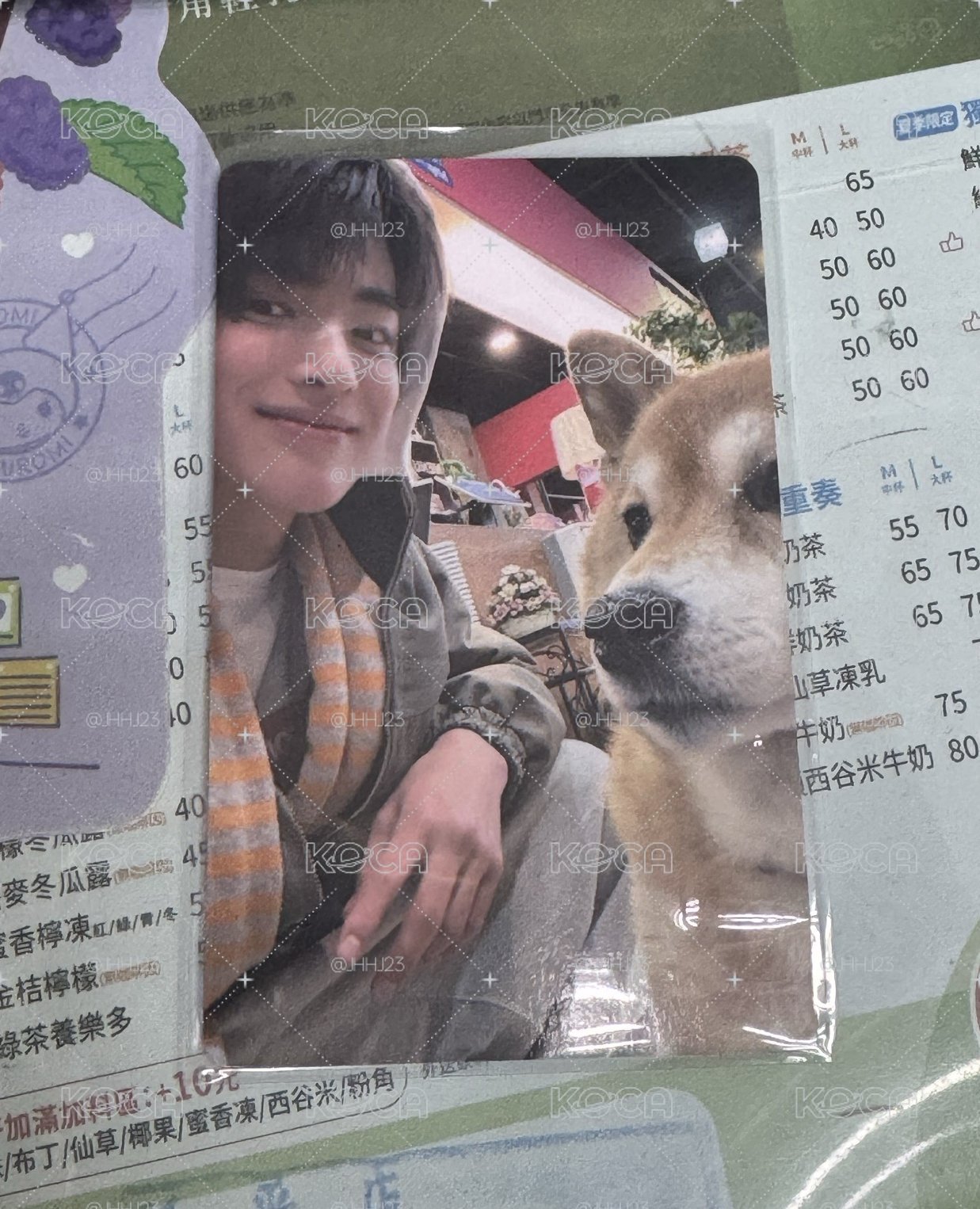 柴犬安