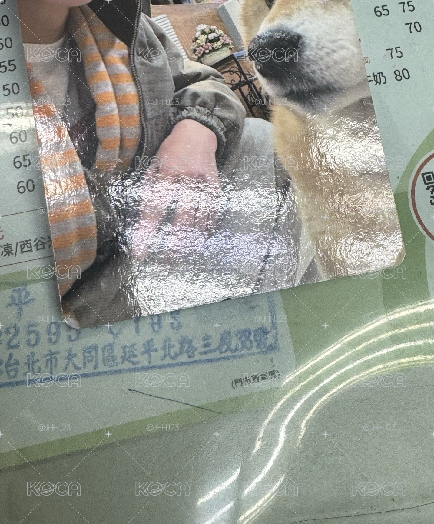 柴犬安