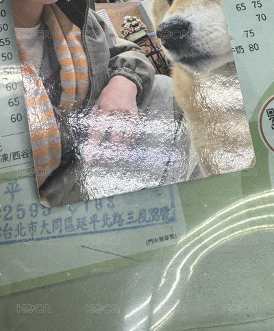 柴犬安