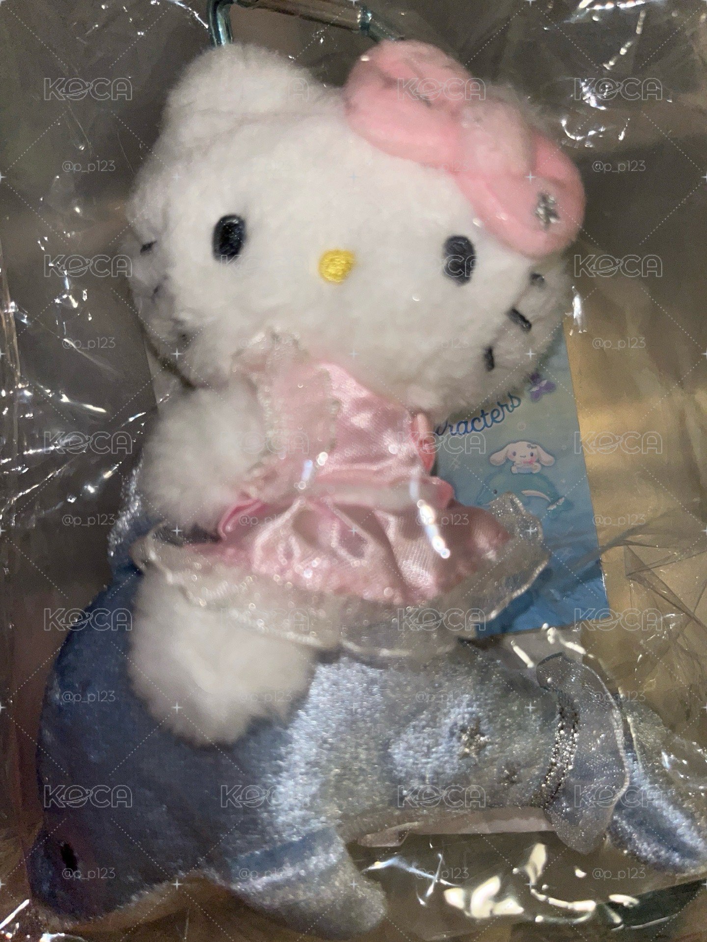 kitty 海豚