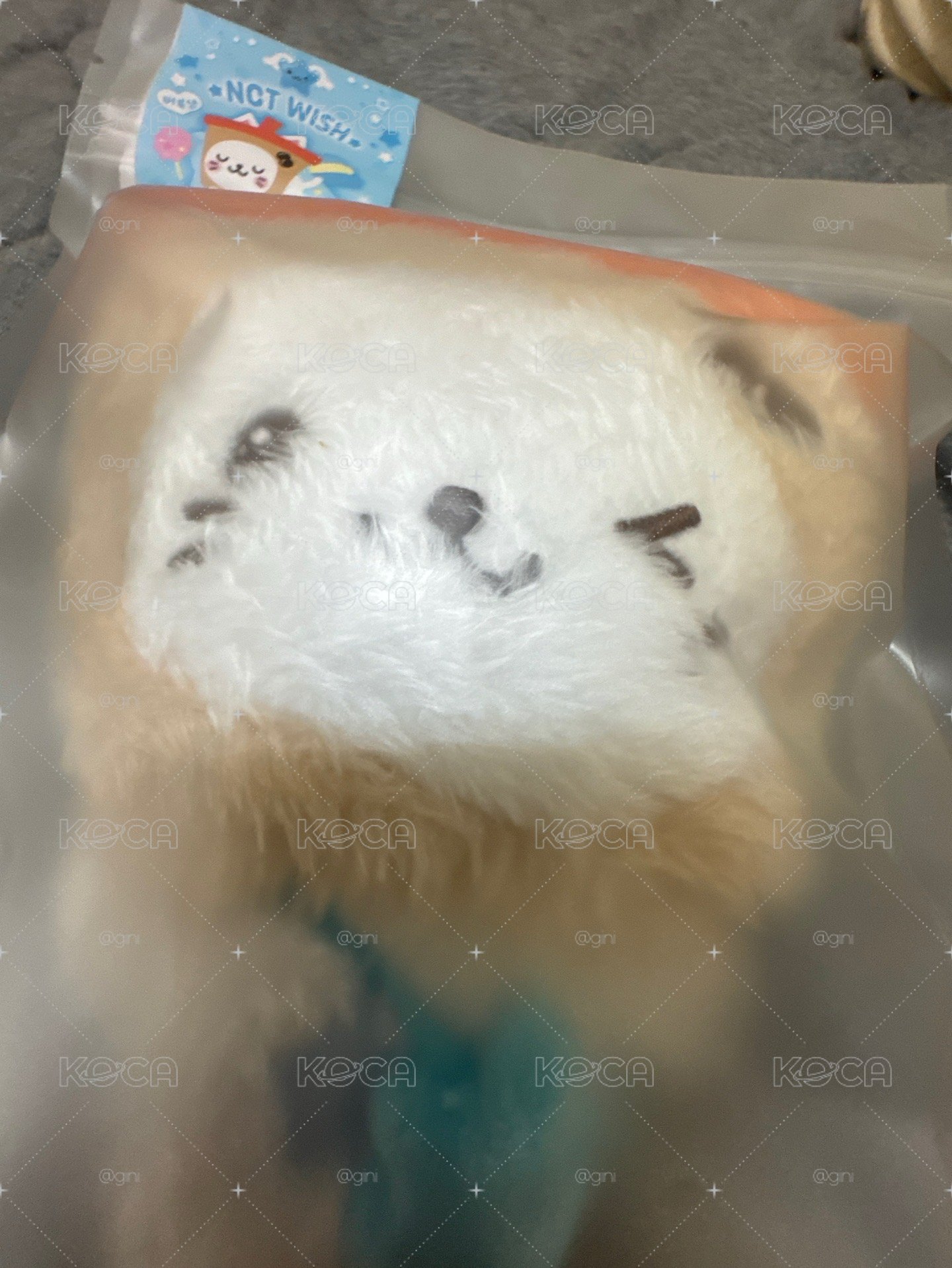 萌萌奶茶貓