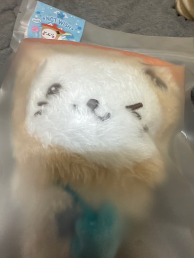 萌萌奶茶貓