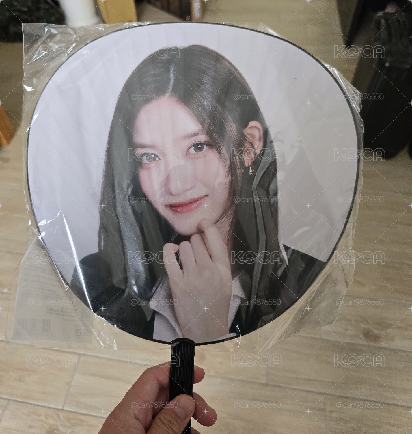 SHOW WHAT I HAVE 日巡 扇子 