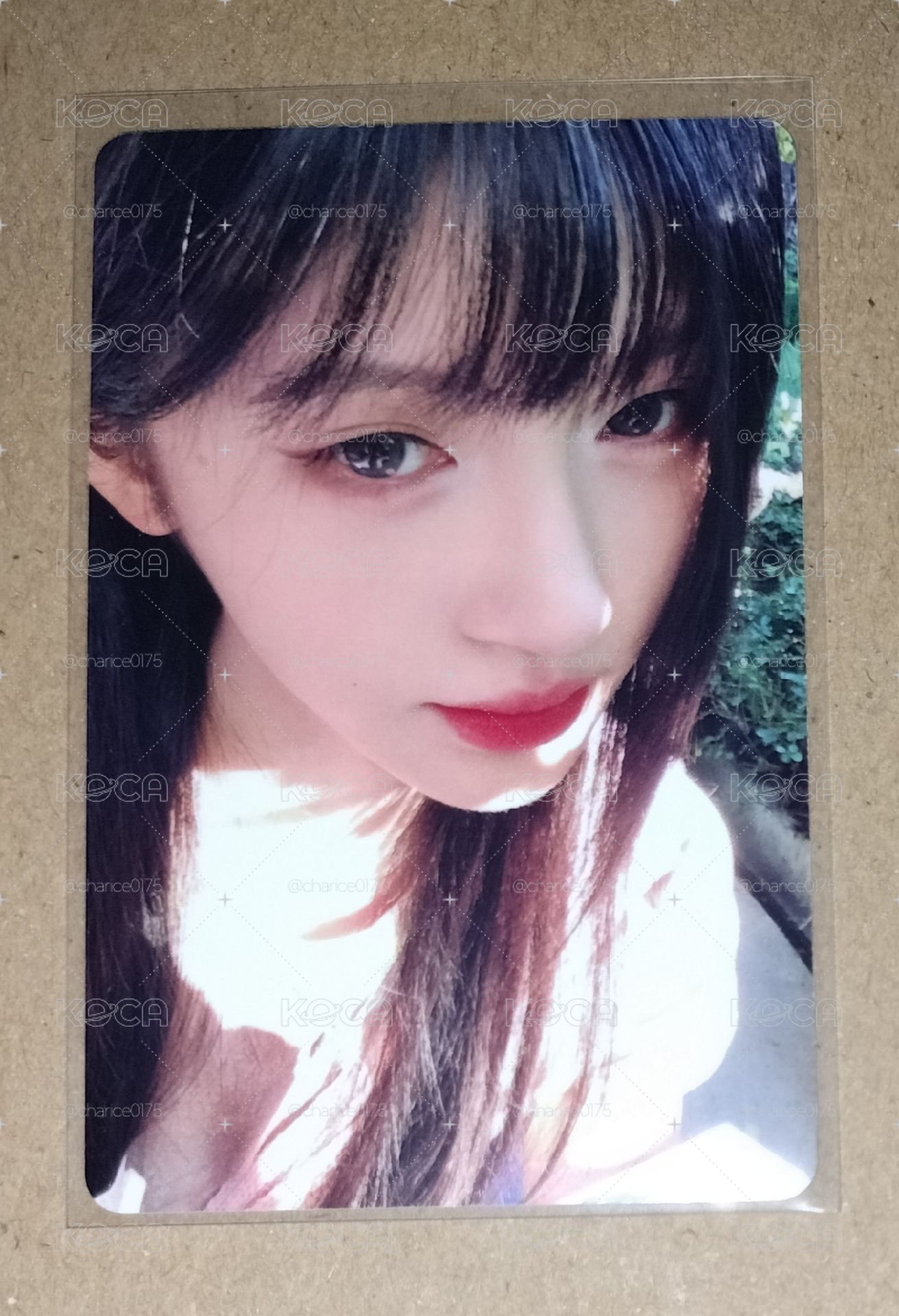 四⭐星光卡 鞠婧禕