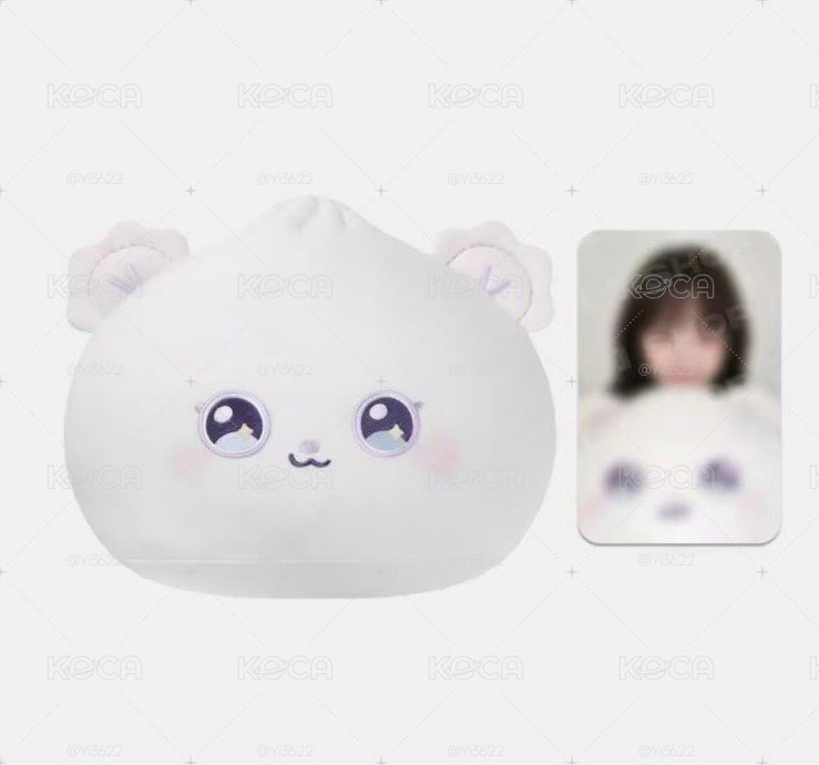 嫄抱枕含卡 現貨