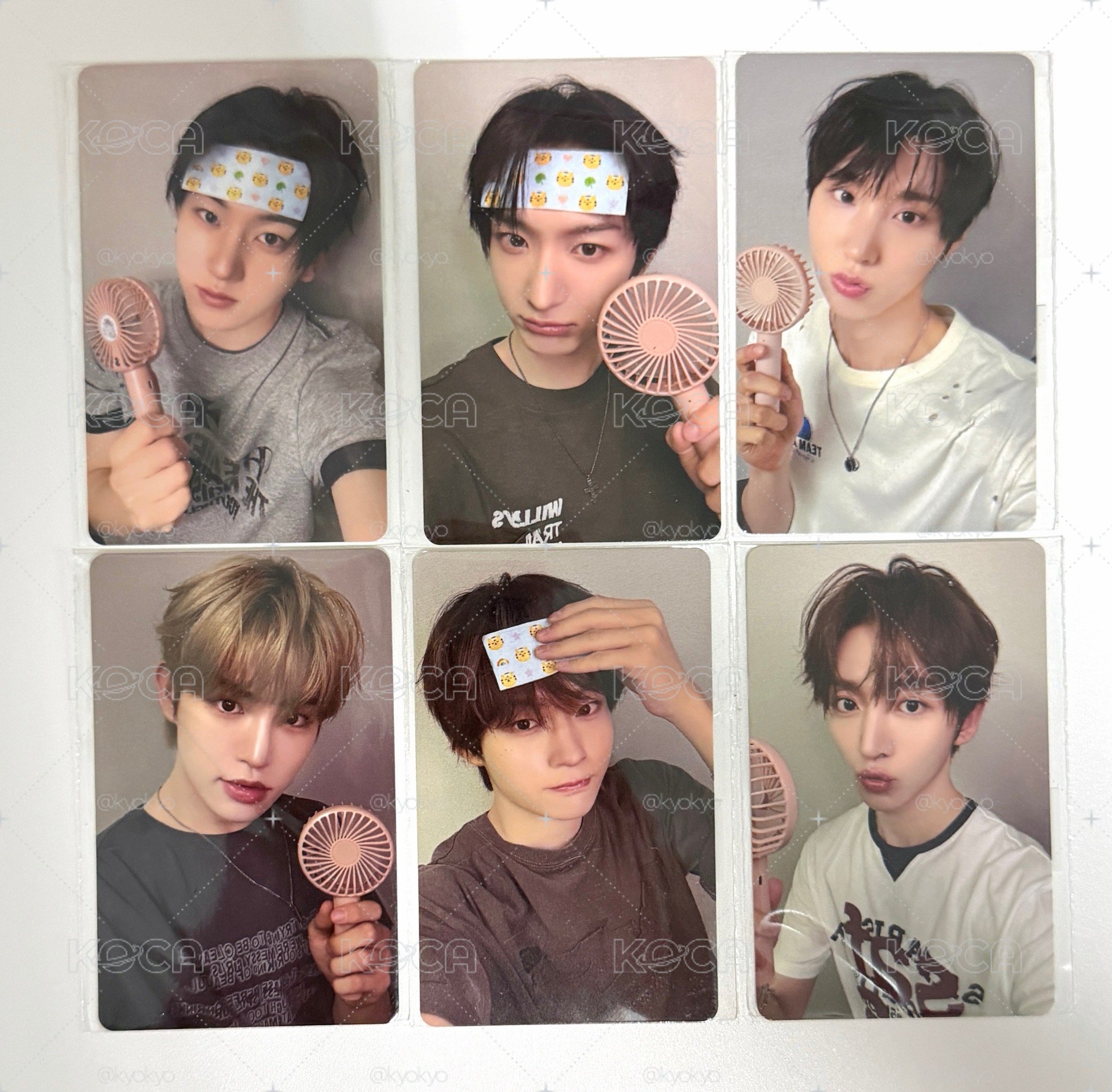 FANS （cool summer ver.）