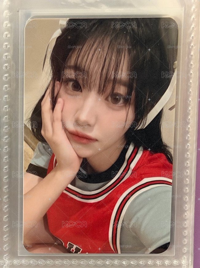 籃球丹