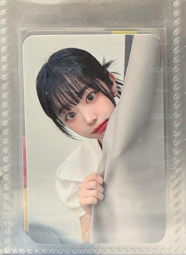探頭丹