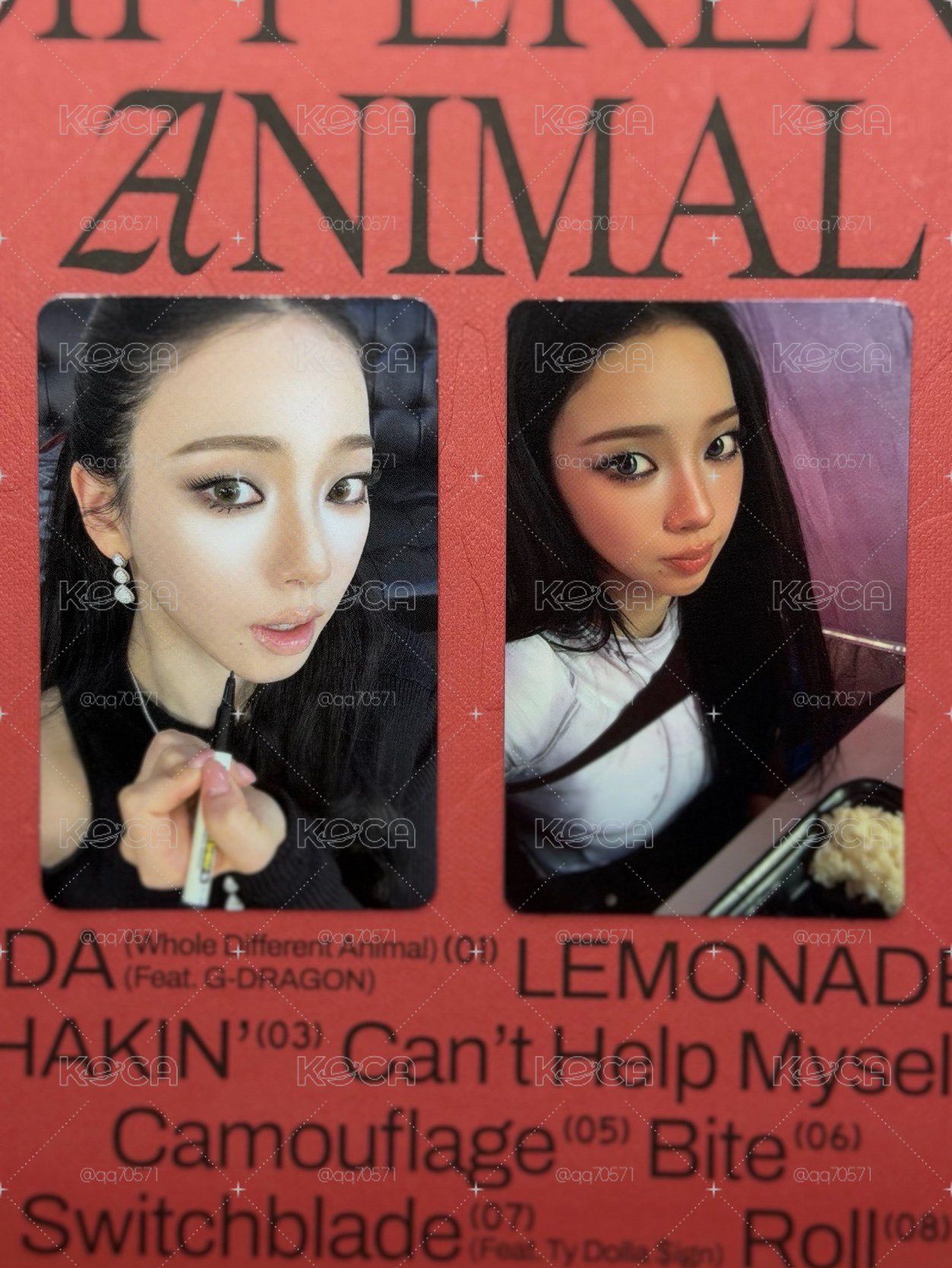 WDA柚卡