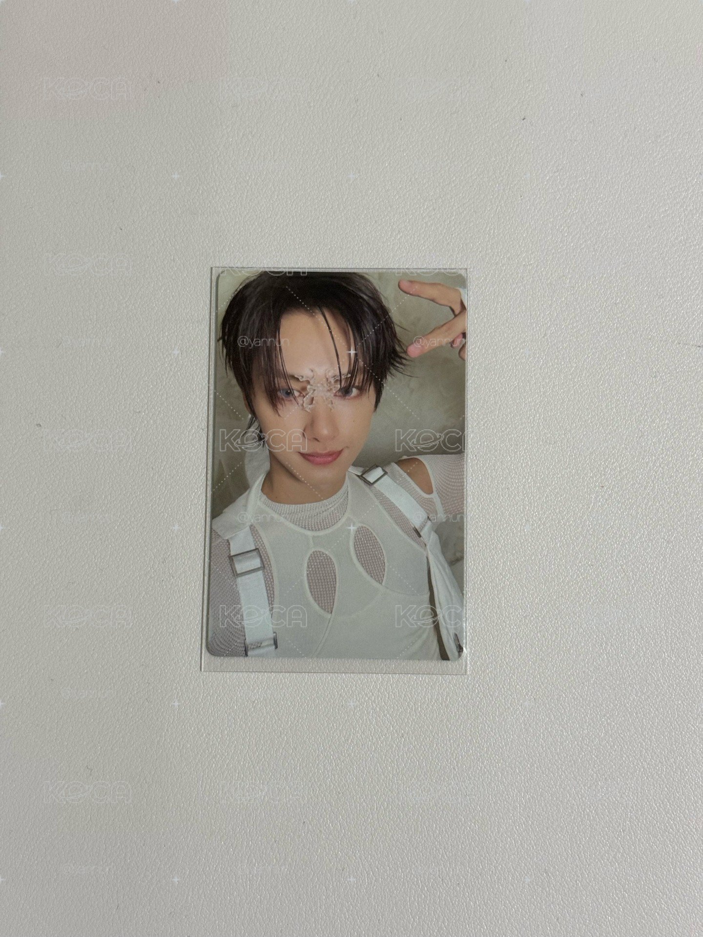 正五 專卡🐈
