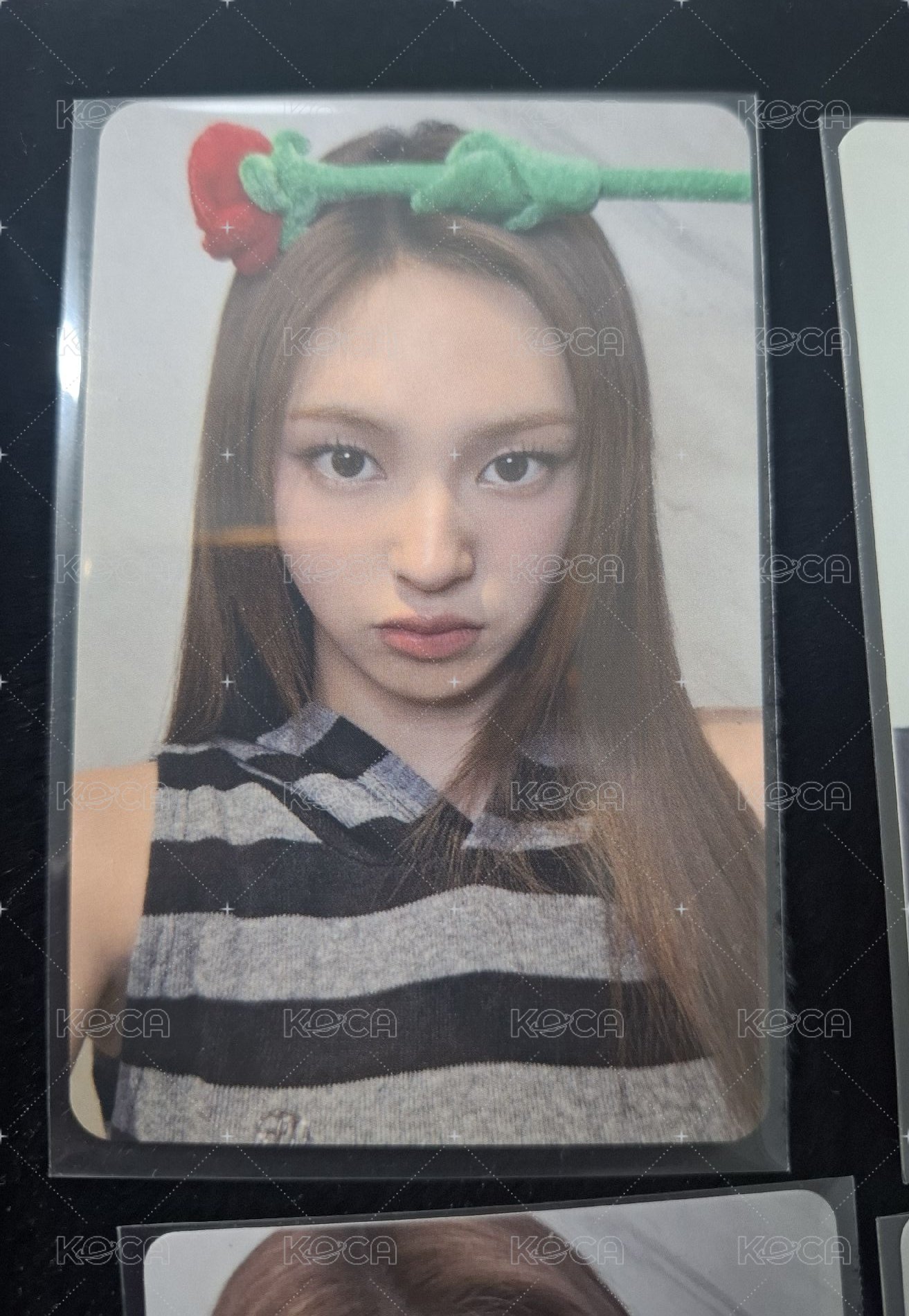 玫瑰花