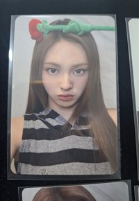 玫瑰花