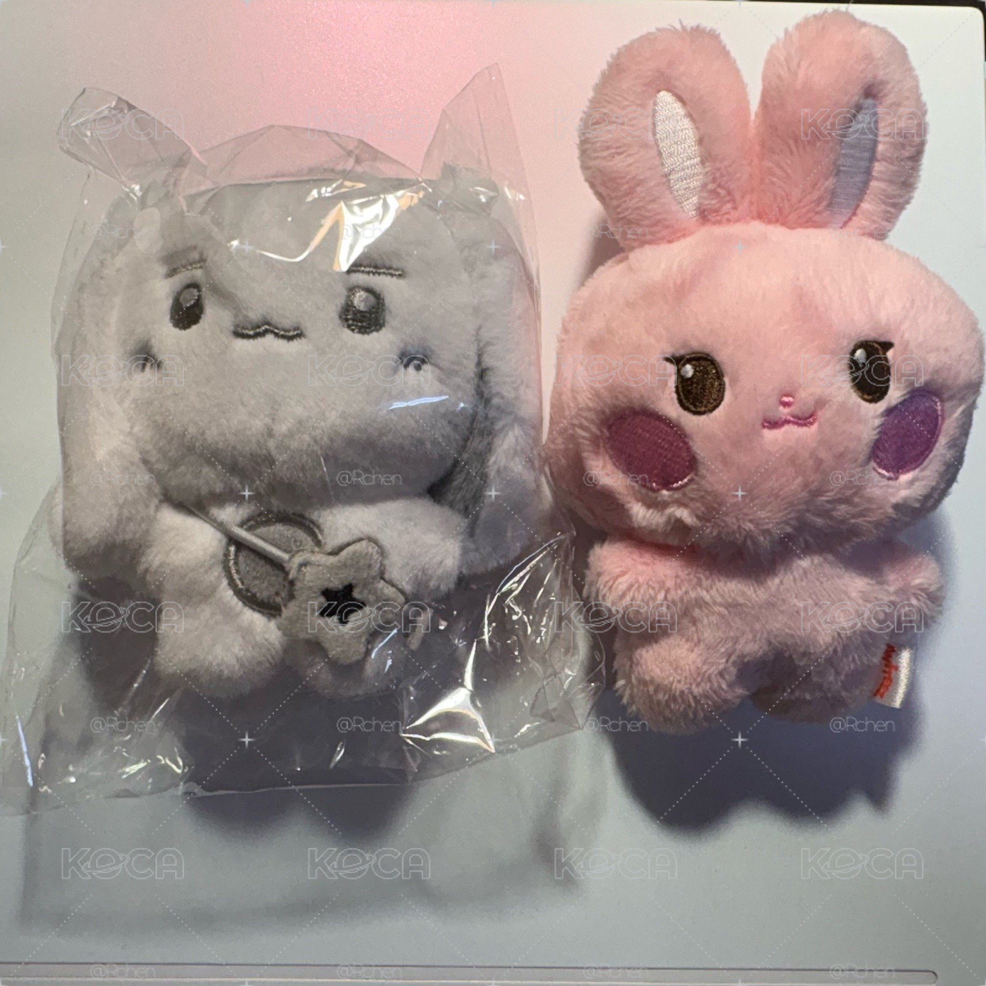 星小盤（不拆售）