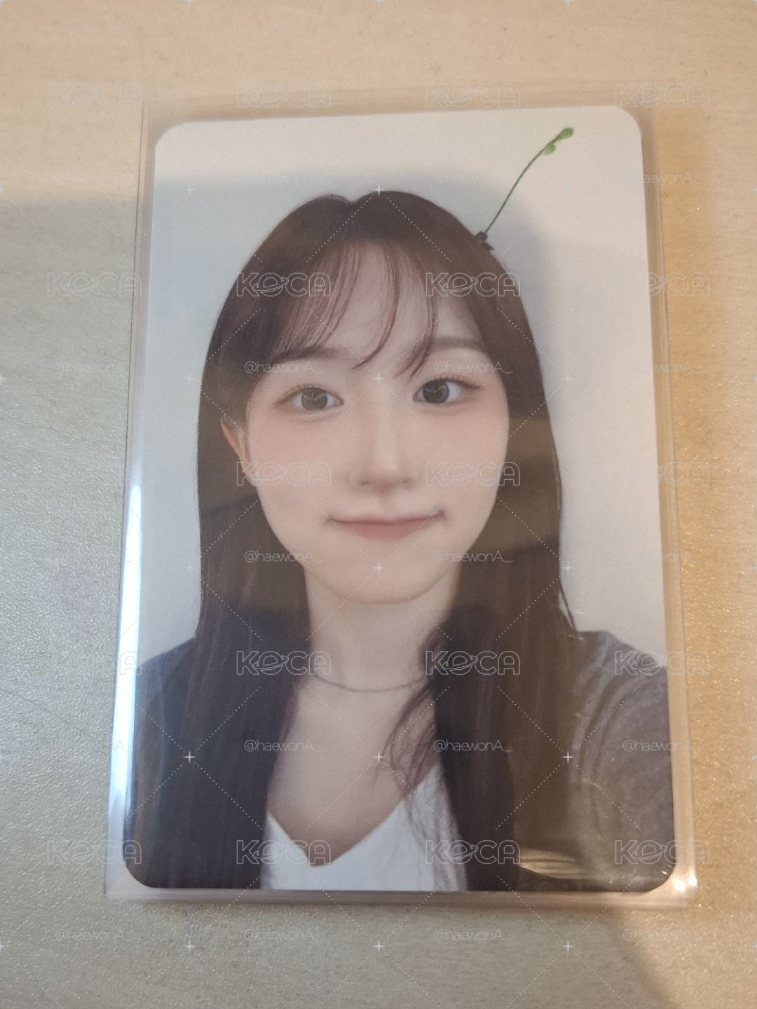 小樹苗嫄