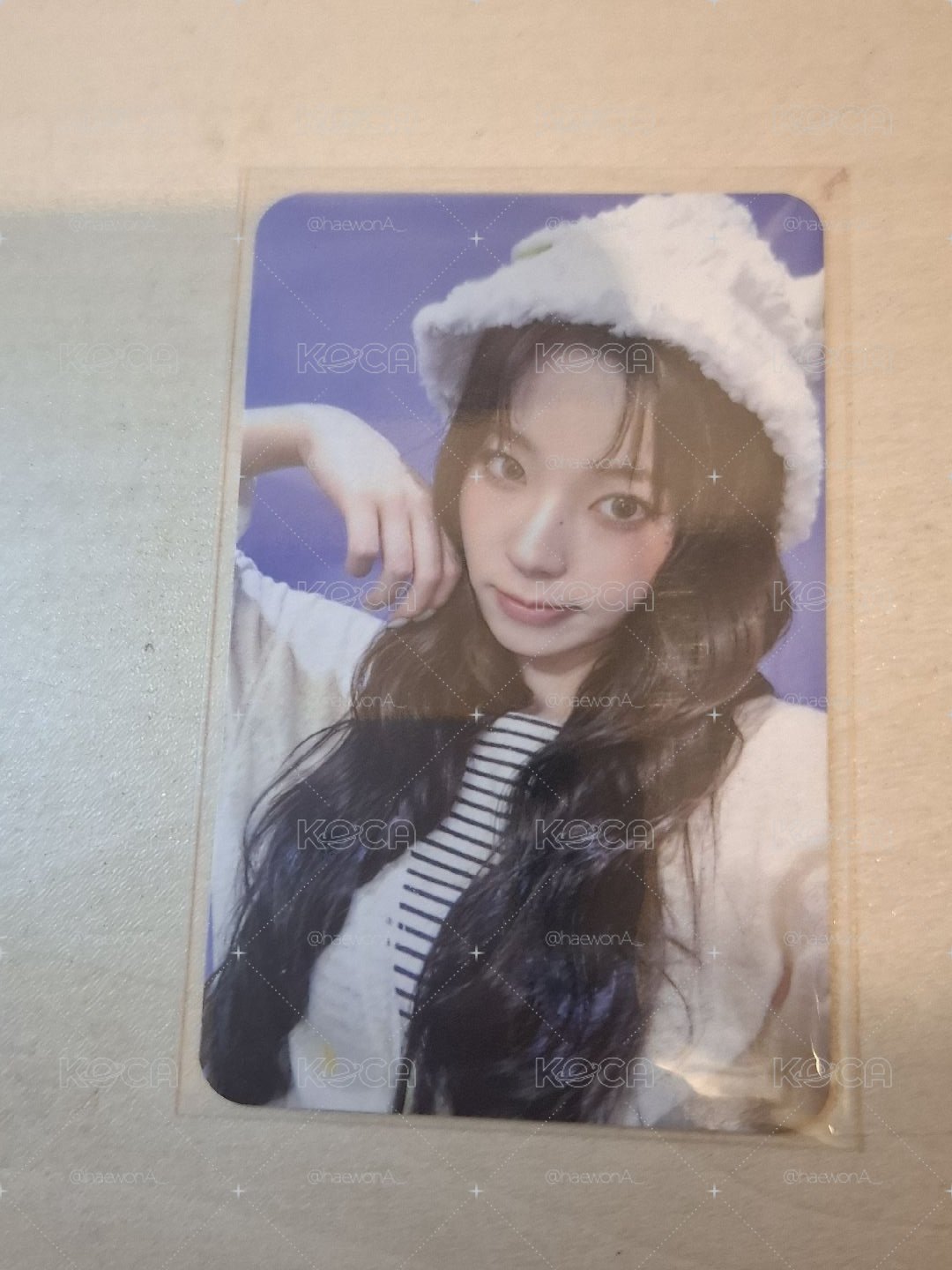 小羊 圭