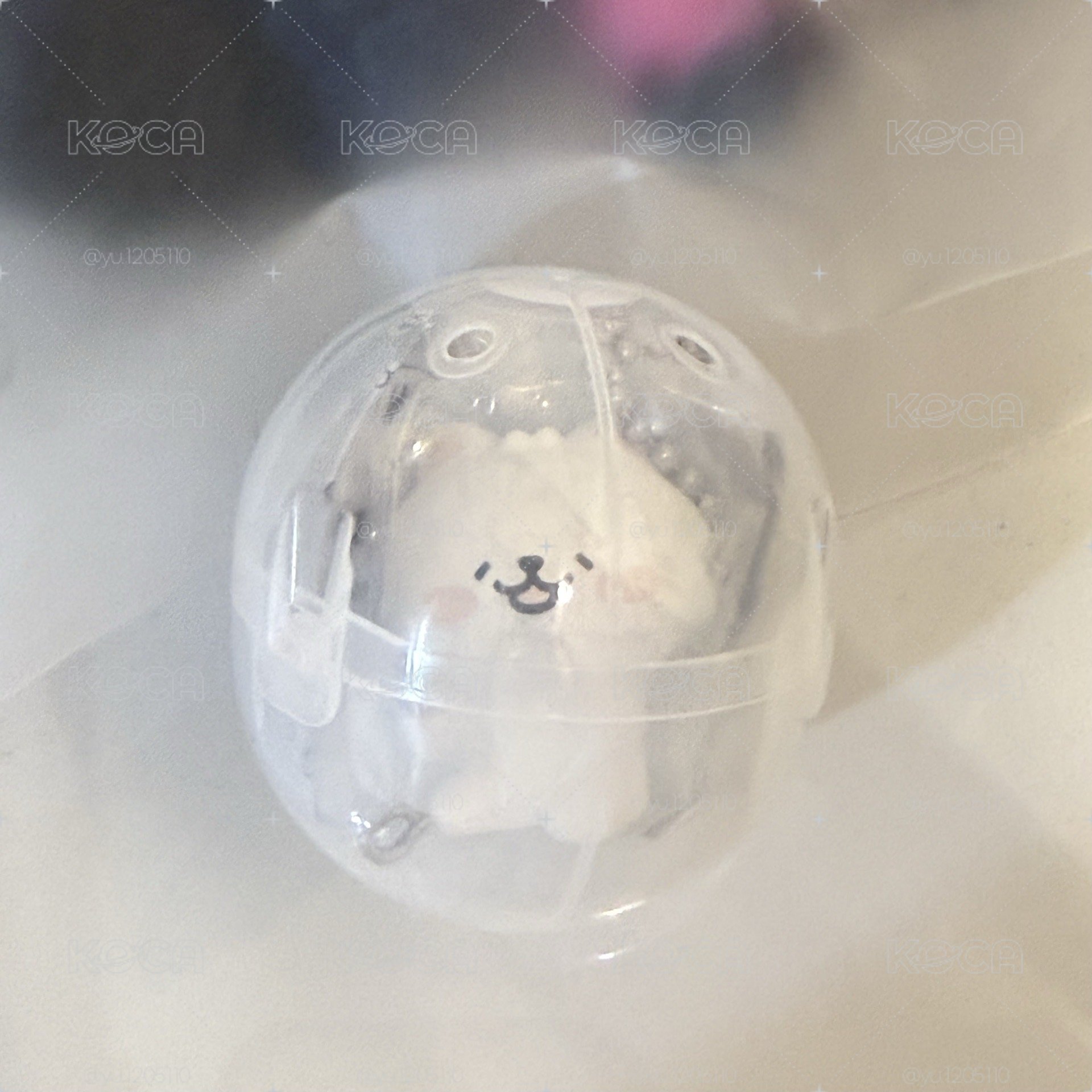 爆炸茲哈龍娃+扭蛋 皆全新