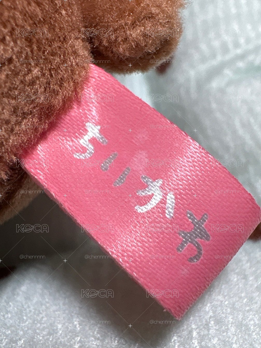肥美日版基礎小甲蟲🎀