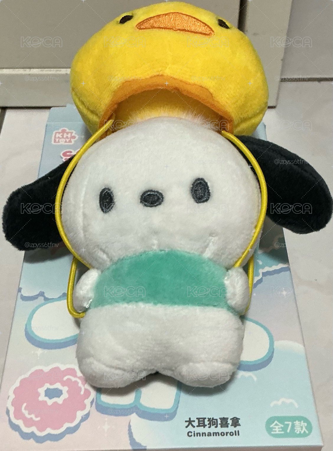 帕恰狗