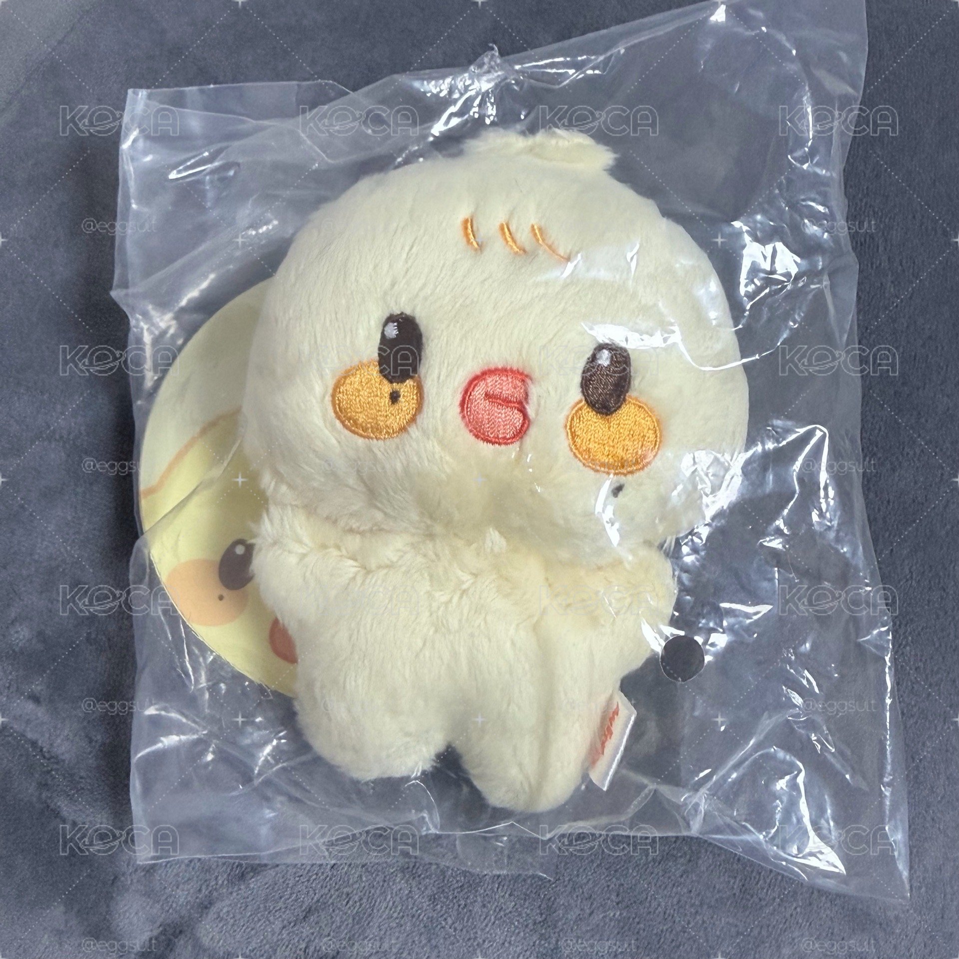 寶寶雞