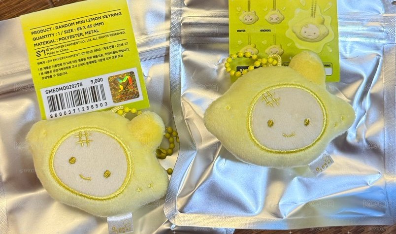 現貨 檸檬娃冬