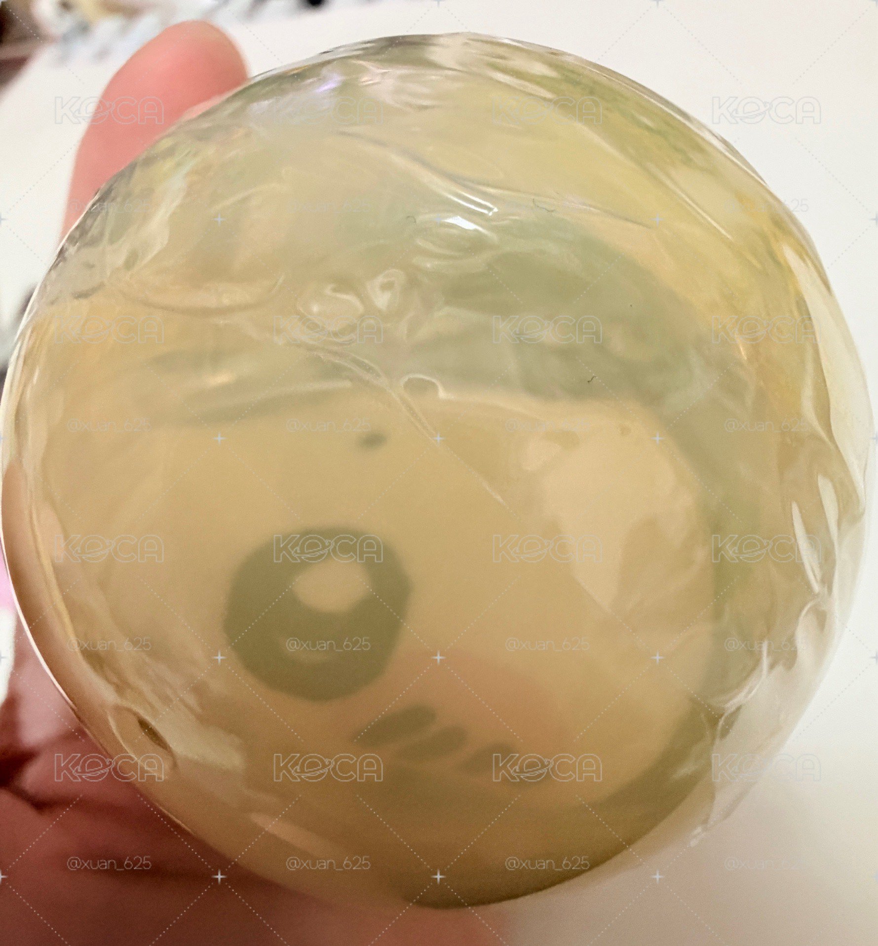 人魚島 小八零錢包