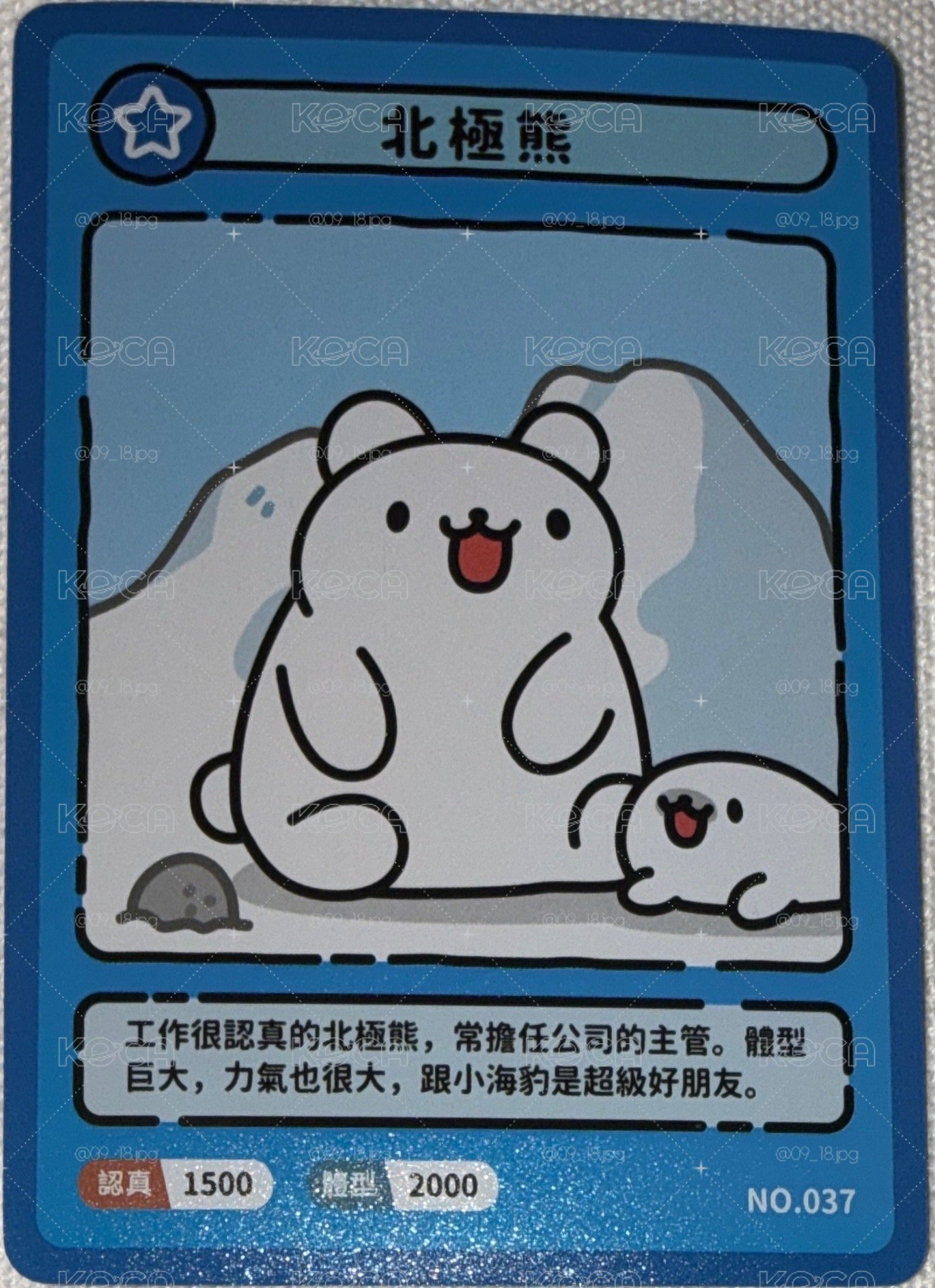 🎴 卡波系列小卡|北極熊