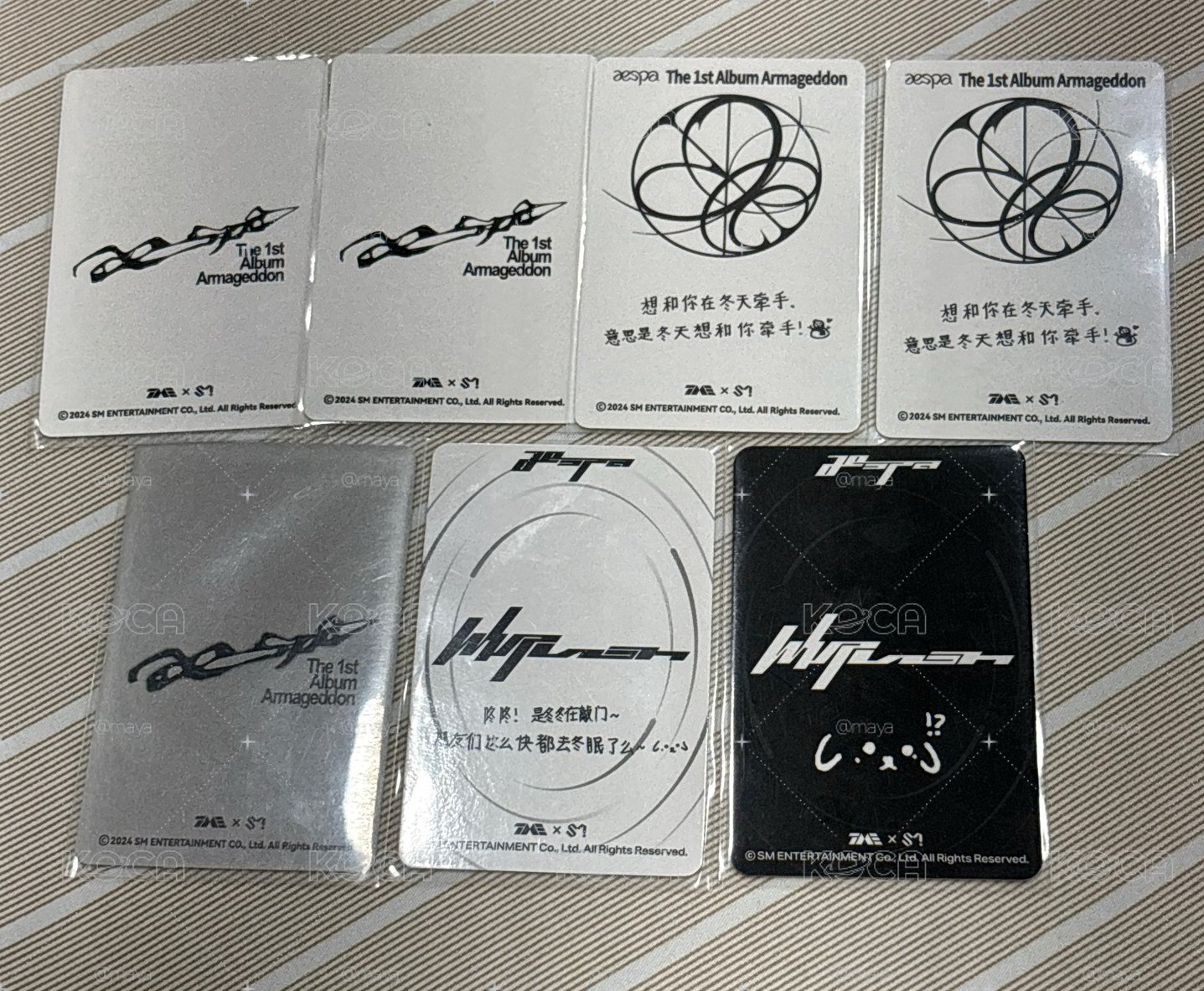 星光卡冬 小盤 冬冬
