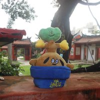 26文博 S娃 發財樹